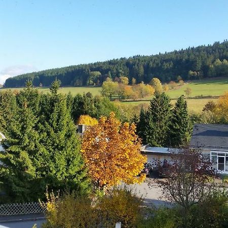 Fewos 4-Jahreszeiten Willingen  Exteriör bild