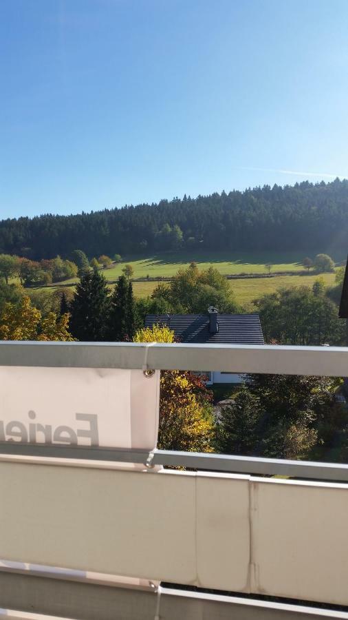 Fewos 4-Jahreszeiten Willingen  Exteriör bild