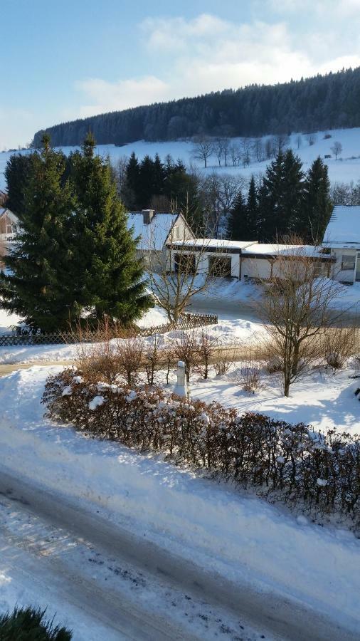 Fewos 4-Jahreszeiten Willingen  Exteriör bild