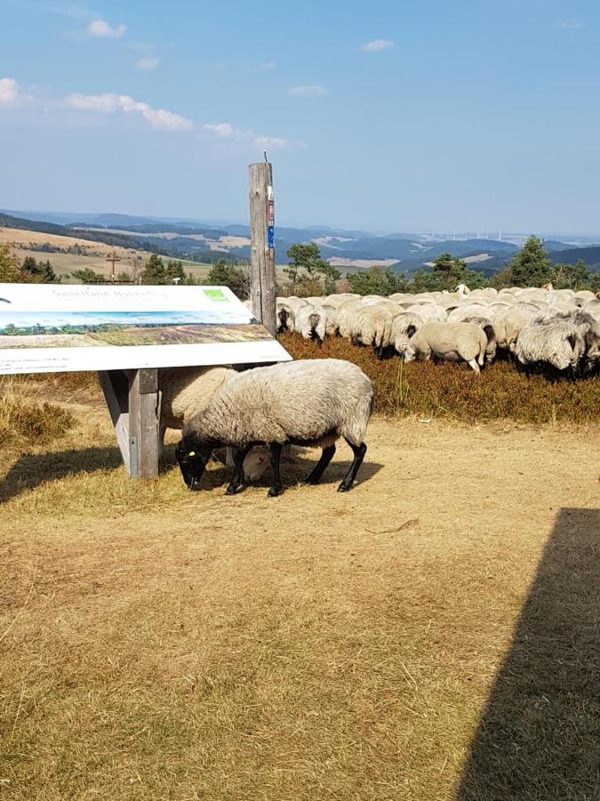 Fewos 4-Jahreszeiten Willingen  Exteriör bild